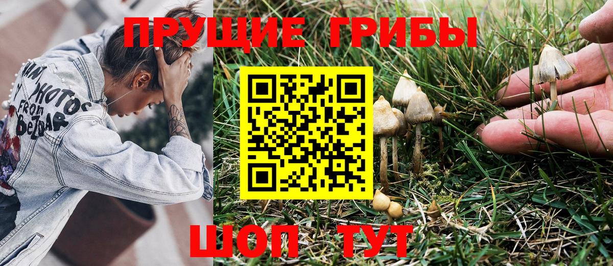 Галлюциногенные грибы мицелий  Вход с VPN  Нижнеудинск 